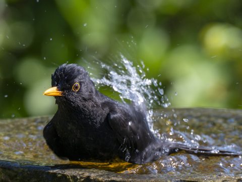 DSC_6349.jpg