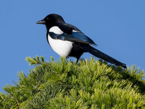 DSC_6403.jpg